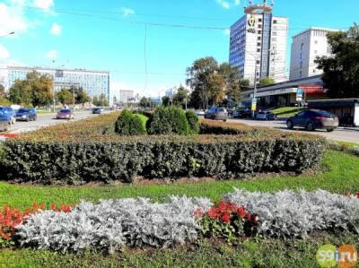 В 2021 году в Перми высадили более 2,5 миллионов цветов - 59i.ru - Пермь