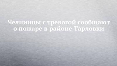 Челнинцы с тревогой сообщают о пожаре в районе Тарловки - chelny-izvest.ru - Россия - респ. Татарстан - район Елабужский
