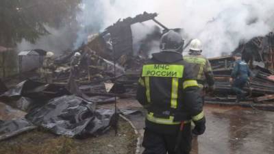 Тело третьего погибшего найдено после пожара в гостевом доме под Псковом - iz.ru - Израиль - Псков - район Псковский