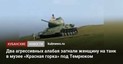 Два агрессивных алабая загнали женщину на танк в музее «Красная горка» под Темрюком - kubnews.ru - Краснодарский край - район Темрюкский - Темрюк
