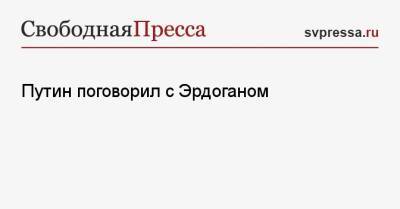 Владимир Путин - Реджеп Тайип Эрдоган - Путин поговорил с Эрдоганом - svpressa.ru - Россия - Турция - Афганистан