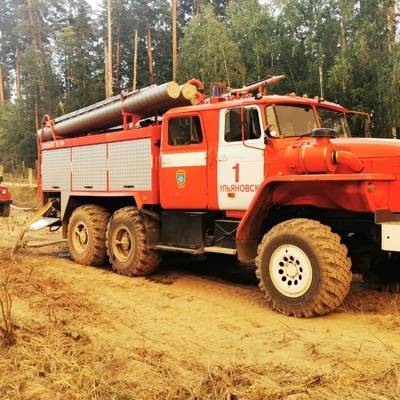 Пожар в Мордовском заповеднике угрожает четырем населенным пунктам Нижегородской области - radiomayak.ru - Россия - Нижегородская обл. - Первомайск