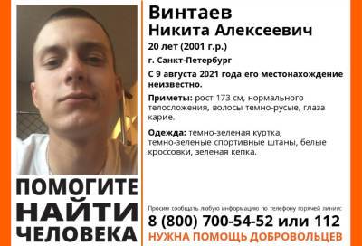 Пропавшего юношу вторую неделю ищут в Петербурге - online47.ru - Санкт-Петербург
