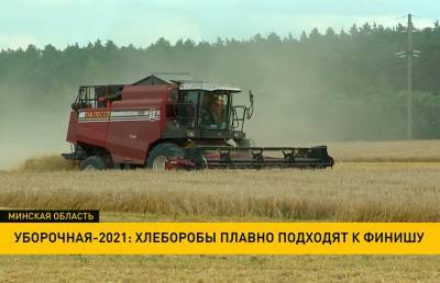 Дожинки-2021: в агрогородке Яновичи провели фестиваль-ярмарку тружеников села - ont.by - Белоруссия - район Клецкий