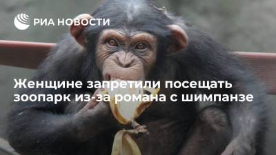 Жительнице Бельгии, объявившей о романе с шимпанзе, запретили посещать зоопарк - ria.ru - Москва - Бельгия