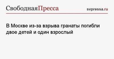 В Москве из-за взрыва гранаты погибли двое детей и один взрослый - svpressa.ru - Москва