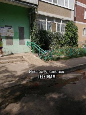 Малыш оказался в «слепой зоне». Парень, сбивший йоркширского терьера, вышел на связь - ulpravda.ru - Ульяновск