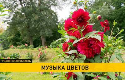 В музее-усадьбе Огинского восстанавливают ландшафт парка великого композитора: в Залесье открылся фестиваль цветов - ont.by - Белоруссия