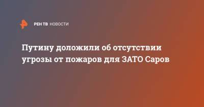 Владимир Путин - Глеб Никитин - Путину доложили об отсутствии угрозы от пожаров для ЗАТО Саров - ren.tv - Россия - Нижегородская обл.