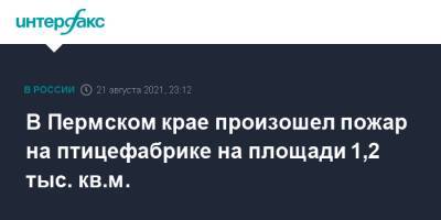 В Пермском крае произошел пожар на птицефабрике на площади 1,2 тыс. кв.м. - interfax.ru - Москва - Россия - Пермский край