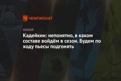 Александр Кадейкин - Кадейкин: непонятно, в каком составе войдём в сезон. Будем по ходу пьесы подгонять - championat.com