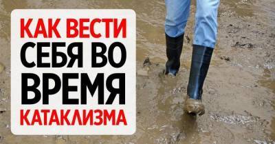 Спасатель научил, что делать во время землетрясения, наводнения и других катаклизмов - skuke.net