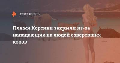 Пляжи Корсики закрыли из-за нападающих на людей озверевших коров - ren.tv - New York