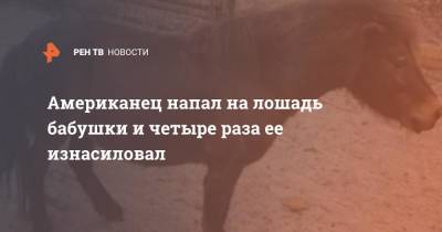 Американец напал на лошадь бабушки и четыре раза ее изнасиловал - ren.tv - США