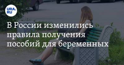 В России изменились правила получения пособий для беременных - ura.news - Россия
