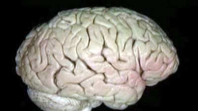 С возрастом ключевые функции мозга улучшаются - mir24.tv - США - Джорджтаун