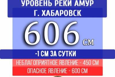 Уровень Амура у Хабаровска упал на 1 см - hab.aif.ru - Россия - Хабаровский край - Хабаровск