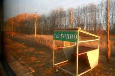 Неизвестные украли туи с кладбища в Смоленской области - mk-smolensk.ru - Смоленск - Смоленская обл.
