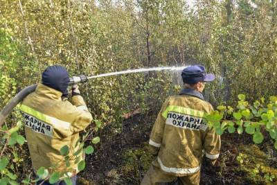 Александр Евстифеев - В тушении пожара в Марий Эл участвуют около 1200 человек - mk.ru - Россия - Кировская обл. - респ. Марий Эл