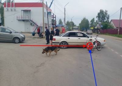 Пьяный велосипедист в Выльгорте попал под колеса Audi - bnkomi.ru - респ. Коми