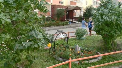Двор на Ладожской преобразился благодаря предприимчивости людей - penzainform.ru - Благоустройство