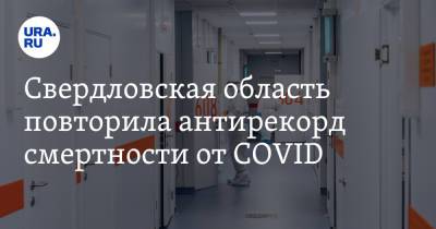 Свердловская область повторила антирекорд смертности от COVID - ura.news - Москва - Россия - Санкт-Петербург - Московская обл. - Челябинская обл. - Тюменская обл. - Свердловская обл. - Пермский край