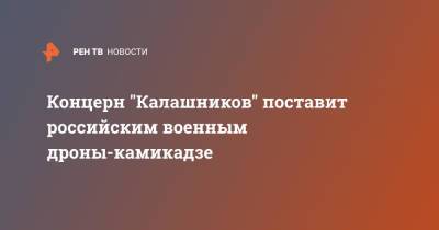 Концерн "Калашников" поставит российским военным дроны-камикадзе - ren.tv - Россия