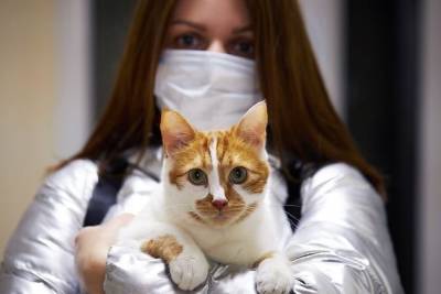 Несколько стран заинтересовались российской вакциной для животных от коронавируса - chita.ru - Москва - Россия - Санкт-Петербург - Московская обл. - Турция - респ. Чувашия - Германия - Эстония - Венгрия - Польша - Венесуэла - Ярославская обл. - Эквадор - Греция - Корея - Таиланд - Архангельская обл. - Тайвань - Ливан - Брянская обл.
