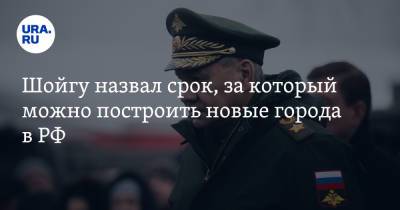 Сергей Шойгу - Владимир Путин - Шойгу назвал срок, за который можно построить новые города в РФ - ura.news - Россия