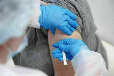 Ираклий Гарибашвили - Денис Шмыгаль - Грузия и Украина взаимно признали сертификаты о вакцинации от COVID-19 - pnp.ru - Украина - Киев - Грузия - Турция