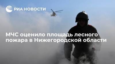 Площадь активного горения лесного пожара в Нижегородской области сократилась до трех гектаров - ria.ru - Россия - Нижегородская обл. - Нижний Новгород - Первомайск
