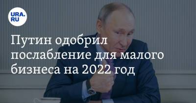 Владимир Путин - Путин одобрил послабление для малого бизнеса на 2022 год - ura.news - Россия