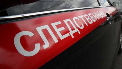 СК начал проверку смерти дяди погибшей 8-летней девочки в Тюмени - iz.ru - Россия - Израиль - Тюмень