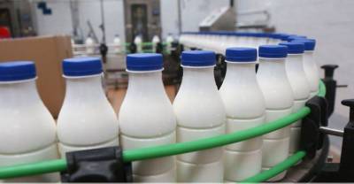 В Беларуси в I полугодии производство молочной продукции возросло почти на 3% - grodnonews.by - Белоруссия - Развитие