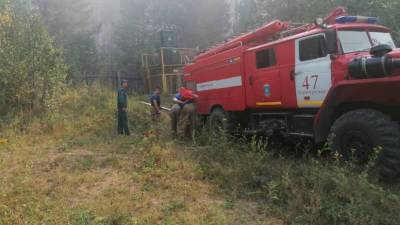 Площадь пожара в районе озера Глухое увеличилась до 240 гектаров - newdaynews.ru - Свердловская обл. - Первоуральск