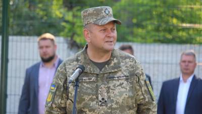 Валерий Залужный - Армия должна готовиться к наступлению на неподконтрольные территории – главнокомандующий ВСУ - sharij.net - Россия - Украина