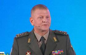 ЗСУ мають готуватися до наступу для звільнення окупованих територій, — Залужний - rusjev.net - Україна - Росія
