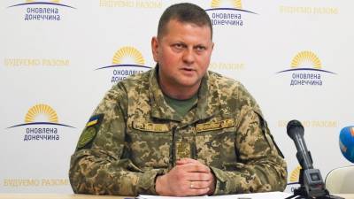 Валерий Залужный - «Для освобождения оккупированных территорий» – украинский главком заявил о подготовке наступления в Донбассе - newdaynews.ru - Россия - Украина - ДНР - ЛНР