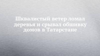 Шквалистый ветер ломал деревья и срывал обшивку домов в Татарстане - chelny-izvest.ru - респ. Татарстан - Набережные Челны