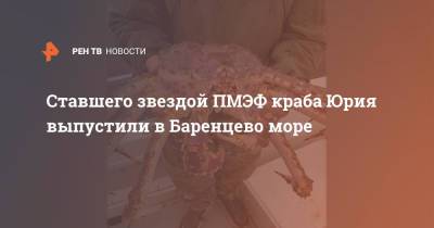 Ставшего звездой ПМЭФ краба Юрия выпустили в Баренцево море - ren.tv - Мурманская обл.