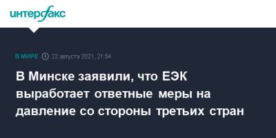 Роман Головченко - В Минске заявили, что ЕЭК выработает ответные меры на давление со стороны третьих стран - interfax.ru - Москва - Белоруссия - Киргизия - Минск
