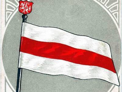 Александр Лукашенко - В Москве полиция задержала двух болельщиков с бело-красно-белым флагом - rosbalt.ru - Москва - Швейцария - Белоруссия