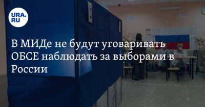 Александр Грушко - В МИДе не будут уговаривать ОБСЕ наблюдать за выборами в России - ura.news - Москва - Россия