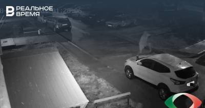 Появилось видео массовой драки в Нижнекамске - realnoevremya.ru - респ. Татарстан - Нижнекамск
