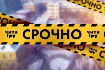 Скидку на подготовку к ЕГЭ и ОГЭ подарят всем записавшимся до 1 сентября в «Годографе» - chita.ru - Россия