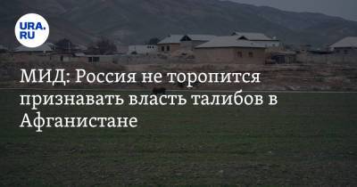 Олег Сыромолотов - МИД: Россия не торопится признавать власть талибов в Афганистане - ura.news - Россия - Афганистан
