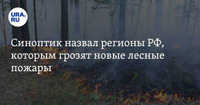 Роман Вильфанд - Синоптик назвал регионы РФ, которым грозят новые лесные пожары - ura.news - Россия - Хабаровский край - респ. Саха - Свердловская обл. - окр.Приволжский - Первоуральск