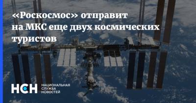 Сергей Савельев - «Роскосмос» отправит на МКС еще двух космических туристов - nsn.fm - Россия - Эмираты