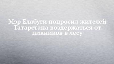 Мэр Елабуги попросил жителей Татарстана воздержаться от пикников в лесу - chelny-izvest.ru - респ. Татарстан