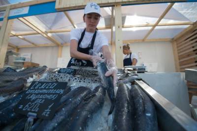В Петербурге из-за нарушений изъято полтонны рыбы и морепродуктов - neva.today - Санкт-Петербург